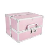 Clarabae Vanity Box for Women Makeup Organizer Box Clip-and-Go Makeup Bag with Four Tray & Mirror Elegant Closure Professional Travel Makeup Case Portable Artist Cosmetic Organizer Storage Bag (Pink)