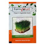 Farmgokart | 20 Gms ONION MICRO GREEN AND SPROUTING SEEDS