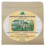 CooPany Agasthi / Bokful / Agathi Keerai Seeds 60 Seeds