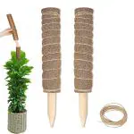 Garden Art Brown Monstera Coco Poles for Climbing Support Extension To Grow Upwards Wood Flower Pots (23.62 inch) pack of 2