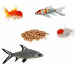 Colourful - Hi Protein & Fiber Fish Food for All Types of Aquarium Fish (1.8mm Medium, 450g)