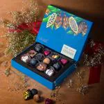 HyperFoods Chocolates Gift Pack of 12 Premium Chocolate Gift Box