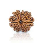 Feel Touch Mart 8 Mukhi | Eight Face Precious Holy Nepal Bead Pendant Eight Face Rudraksha Pendant with Thread for Men & Women
