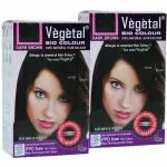 Vegetal Dark Brown Bio Hair Colour, 50 gm - Pack Of 2