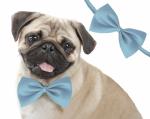 Sage Square Jumbo Size Adjustable Fashion Party, Function, Weeding Cum Formal Costume Neck Bow Tie Cum Necktie for Dog/Puppy/Cat/Kitten (Light Blue)