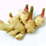 PARYAVARAAN Ginger Seeds for Home Garden (10)