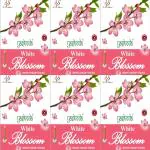 Yashoda White Blossom white Dhoop sticks 25 sticks 25x6(150 sticks)