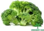 Greenery Hub Organic Broccoli Seeds (10 Per Packet)