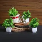 Saf Set Of 4 Mini Artificial Flower Plant For Home, Office, Garden And Table Decor Bonsai Wild Artificial Plant With Pot    (17 Cm, Green)