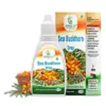 HERBAL YUG Pure SEA BUCKTHORN Drop Vitamin C Rich Stamina & Immune System (Pack of 3)