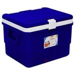 Trendline - Walking with the Trend! Multipurpose Insulated Ice Chiller Box Cold Drink Storage Basket Picnic Ice Cooler Box Bear Chiller Storage Box