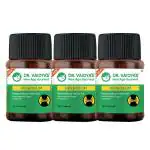 Dr. Vaidya's New Age Ayurveda Herboslim Fat Burner, Weight Management, Weight Reduction Capsules- 100g (Pack Of 3)