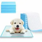 Aksh NobilityXL Pet Training Pads 60x90 cm, Training Pee & Potty Pads, Heavy Duty,Rapid Dry & Absorbent Core, Suitable for Puppies, Small,Medium, Large Dogs (100 Count)