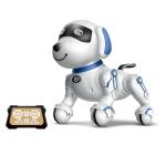KTRS ENTERPRISE Intelligent mechanical dog AI remote control interactive accompany pet early education singing dancing children gift toy dog
