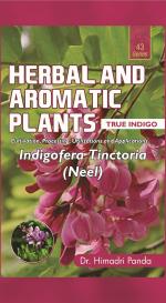 43. Indigofera tinctoria (True Indigo)