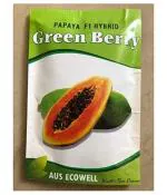 Stokiya Green Berry F1 Variety Hybrid Papaya Seeds (800 piece)