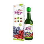 RUDRAA FOREVER Sixteen Berry Juice 500ML Acai berry, Noni, goji fruits, blueberry etc.