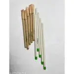 BAMBOO ANNA ENTERPRISES Plantable Seed Paper Pen & Paper Pencil (Pack Of 10) With Seeds