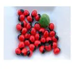 Pmw - ROSARYPEA - CHANOTHI-Guri GUNJA - LATUMONI - GUMCHI - CRABSEYE - Damage Checked - Set of 108 Seeds