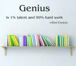 Lanstick Vinyl Multicolor Genius Quote Self Adhesive Wall Sticker 24 inch