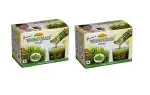 Girme's Wheatgrass Powder 3gx30 Sachet - Pack of 2