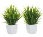 Chaudhary Flower Silk Green Wild Artificial Flower with Pot 8 inch CH00073 Pack of 2