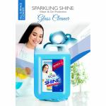 DEV's ECO SPARKLING SHINE WATER & DIRT PROTECTION | GLASS CLEANER | 5L
