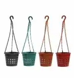 Hydroponic Orchid Hanging Plant Pots