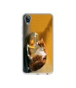 Casotec Cat and Fish Design Printed Silicon Soft TPU Back Case Cover for Vivo Y91i
