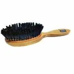 DroliaFresh Premium Coat Cleaning Brush Suitable for Removing Dust & Lint from Sofa, Bed, Cloths