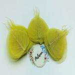 Palesaa CRAYOZA YELLOW Natural Skeleton Leaves Pack of 50pcs DIY,Craft,Decor Artificial Plant (10 cm, Yellow)