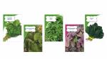 BS (Bombay Seeds) Leafy Delight Combo || Green Amaranthus, Methi, Red Amaranthus, Spinach, Coriander || Seeds Combo Pack