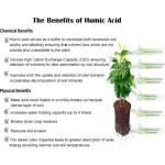 Anushika Bio-humic Acid 100 Percentage Certified Organic Natural For Growth of All Plant Fertilizer - 1 ltr