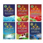 PUFF SMART Premium Hookah Flavors Brain-O-Freeze, Double Apple, Zafran Pan, Spring Water, Pan Kiwi Mint, Dubai Special 50g Each (Pack of 6) (100% Nicotine and Tobacco Free)