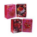 TEESTA 3D Multi Valentine's Day Rose Love Gifts Bags for School/College/Anniversary (Set of 4)