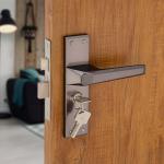 HARMONUS Zinc Alloy Mortise Door Lock Handle/Plate Mortice Handle 10