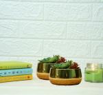 GOLD DUST Metal Pots for Plants, Pots and Planters, Golden Pots for Indoor Plants, Metal Planters for Living Room (Pack of 2)