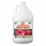 Erwon Hibiscus Booster, Premium Essential Powerful Liquid Fertilizer for the Best Growth of Hibiscus Plants with Flowering Nutrients and Charged Micro-organism (1000 ml)