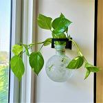 MITHILA HANDICRAFTS Round Glass Vase with Iron Hanger | for Artificial Flowers Plants | Elegant Frosted Vase with Hanger