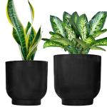 ecofynd Black Eva Metal Plant Pots (8 inch, 9 inch), Indoor Planter Flower Pots with Drainage Hole