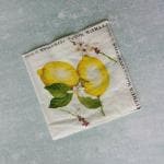 The Little Basket Printed Citrus Medica White Cocktail Tissue Paper Napkins 25 x 25 cm
