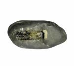 Real Seed Stone Antique Original Laxmi Narayana Shaligram Shila (7x3.1x5.1cm)
