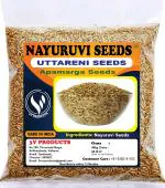 3V Products Nayuruvi Seeds, 200 G