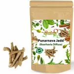 Dirghaanshi Sathi Jadd,Punarnava,Boerhavia Diffusa,Punarnava Root,Punarva,Spreading Hogweed Seed (100 g)