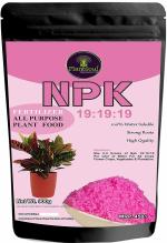Plantsoul NPK 19 19 19 Fertilizer for Plants and Gardening I Growth Boost and Flowering (400 Gm)