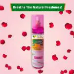 Herbal Strategi - NatureSpray Rose Aromatic Fragrance | Made With Natural Essential Oils - Room Freshner Spray Pack of 3 250 mL each