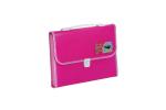 Max Pink Folder File (Pack of 2)