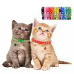 VM Mart Small Pet Dog Cat Collar with Bell Adjustable Safety Belt (Color May Vary) 2 Pieces