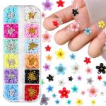 Maycreate Multicolor Resin 3D Flower Nail Art Kit Decals Charms With Golden Beads - Azwb2-15Nfx7M