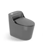 Clay Plus Premium Grade Ceramic's Designer One Piece Western Toilet Commode